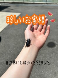 ６月最後の展示会！